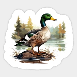 Mallard Sticker